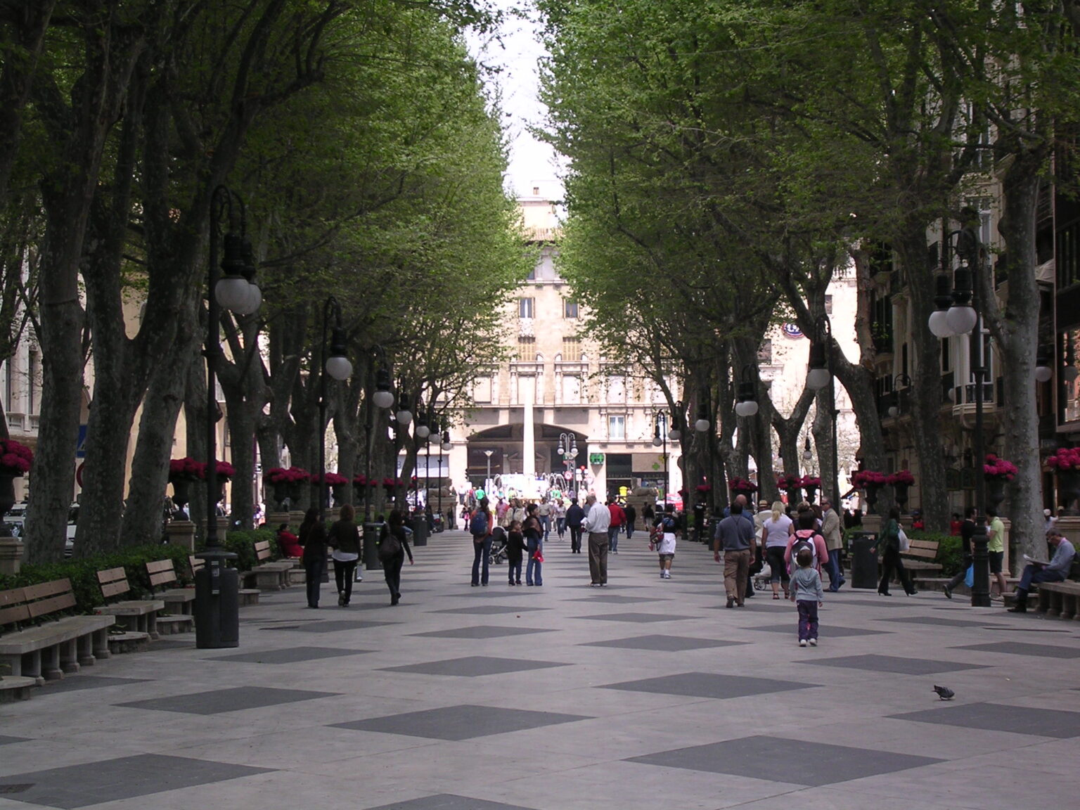 Passeig del Born i Palma og Mallorca