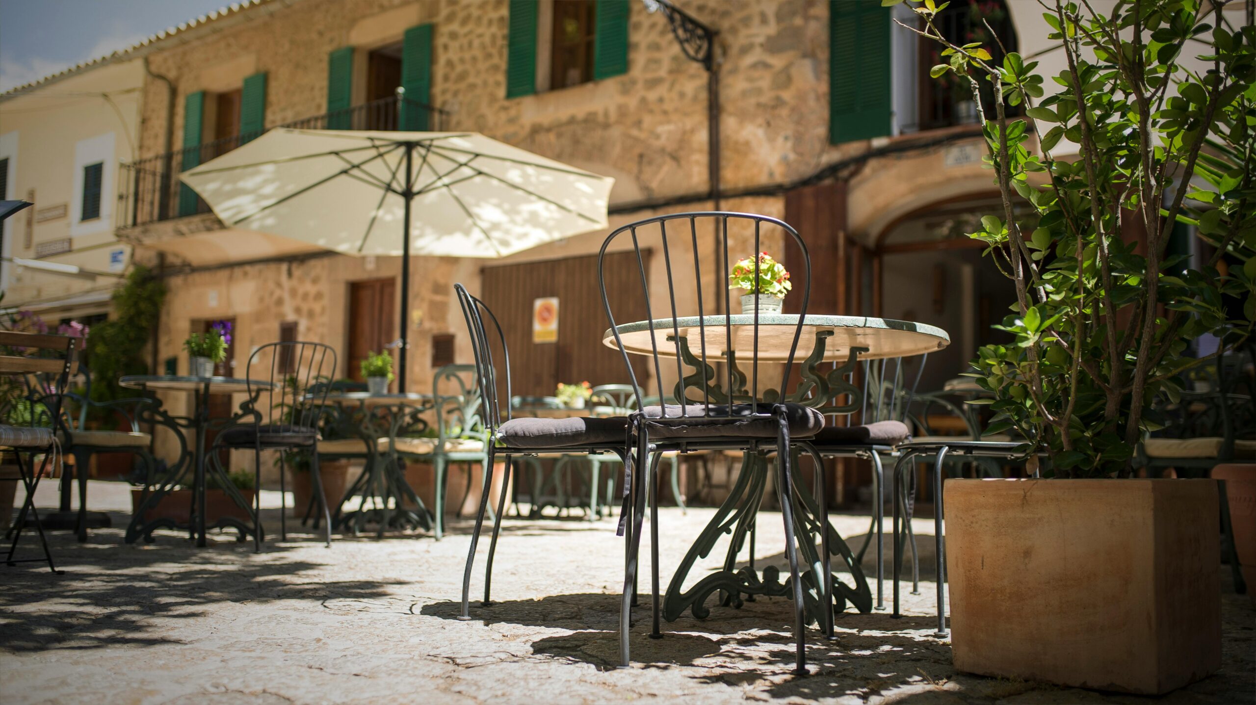 Best Budget Hotels in Palma de Mallorca