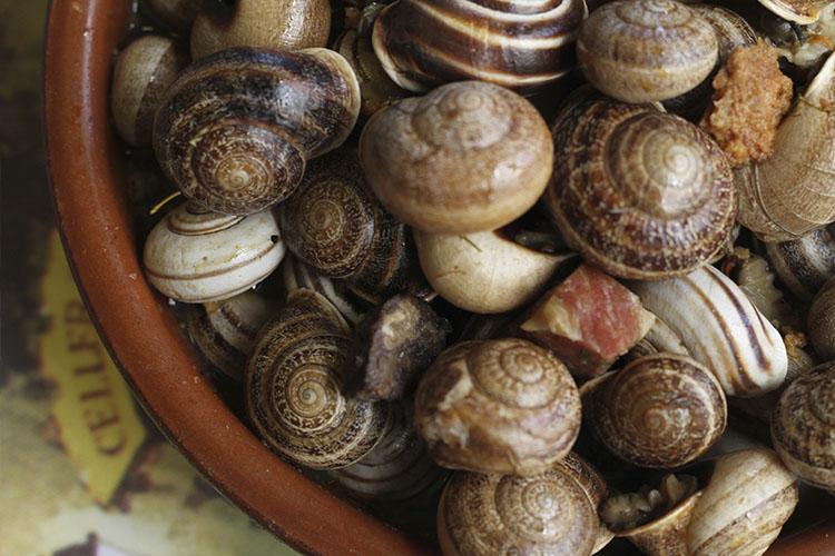 Family-Owned Restaurants in Palma 9 Celler Sa Premsa