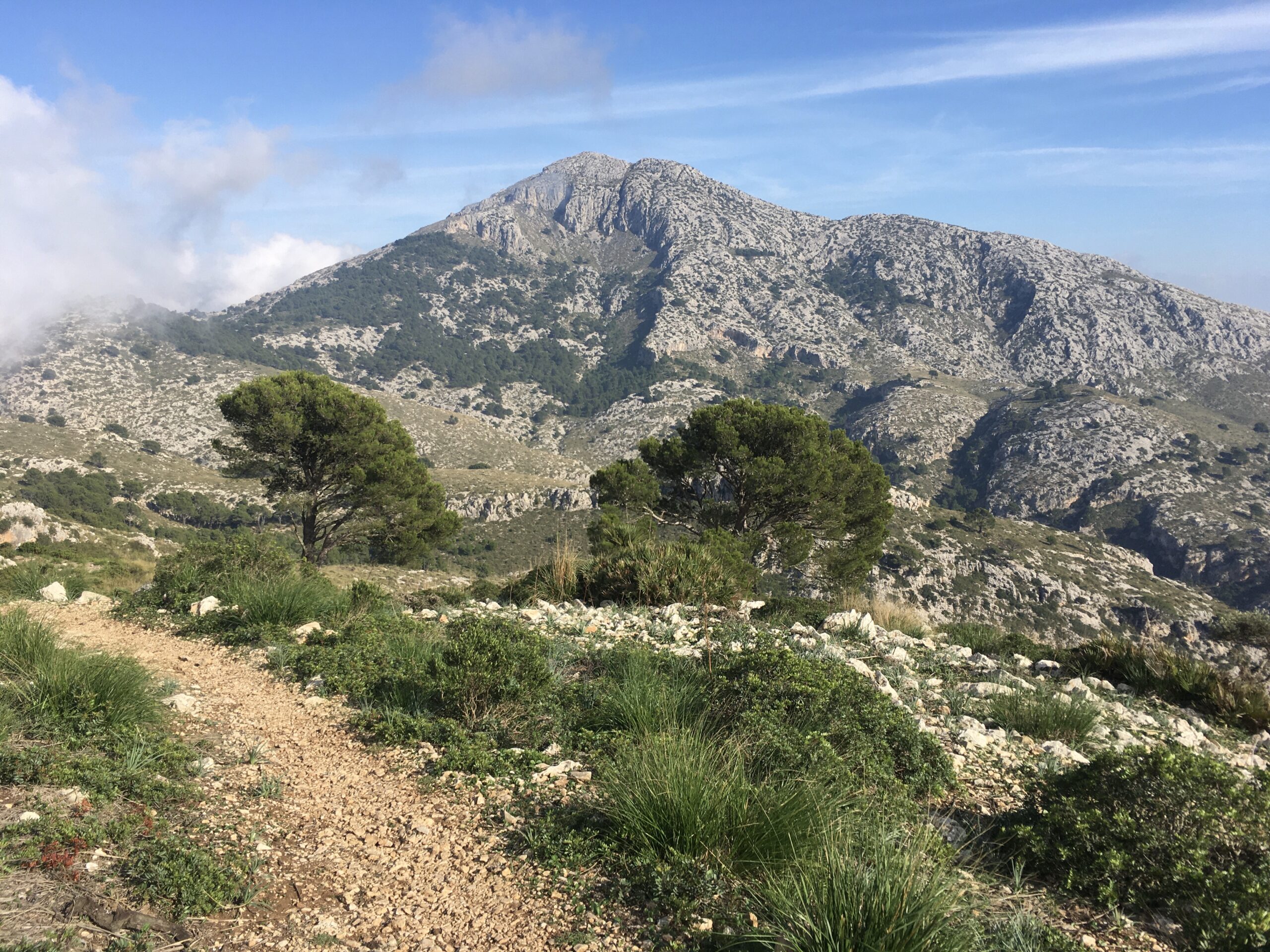 Hiking Puig de Galatzó