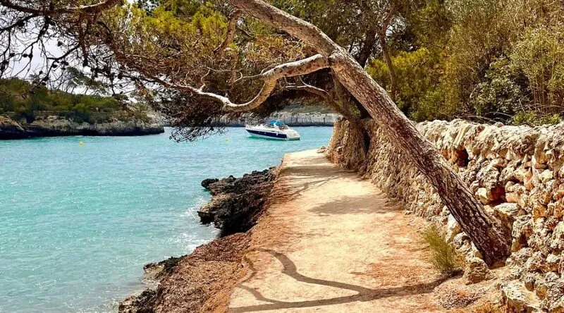 Natural Parks in Mallorca – Complete Guide to Hiking, Beaches & Wildlife