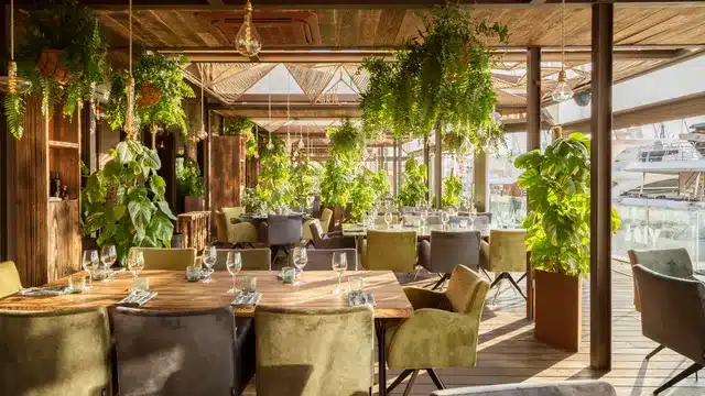 Sky Nudos at Moll Vell