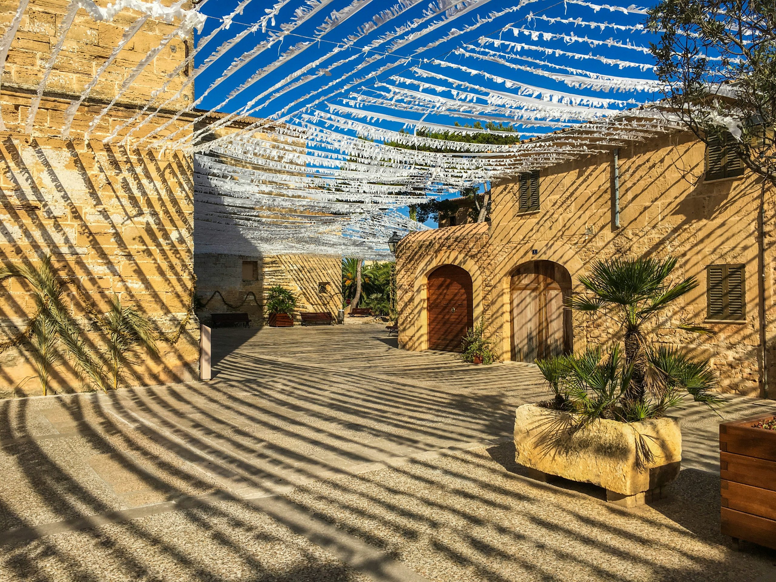 The Business Scene in Palma de Mallorca & Beyond 8 Alcudia in Mallorca