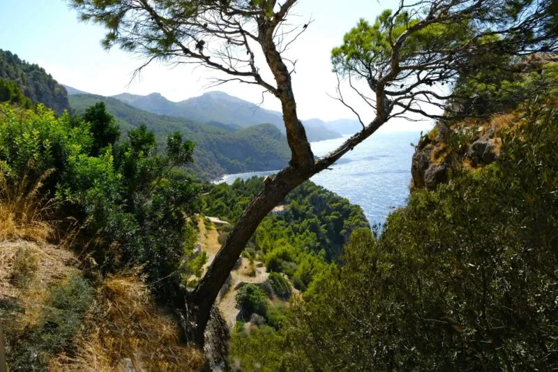 Best Hiking Trails in Mallorca: Top 15 Ranked