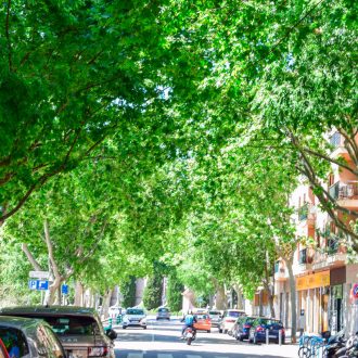 Bons Aires, Palma de Mallorca