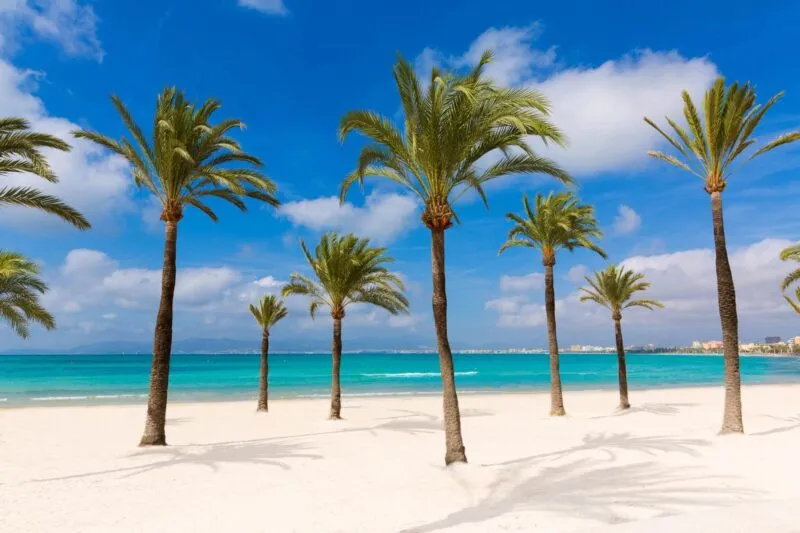 S’Arenal – Mallorca’s Coastal Playground
