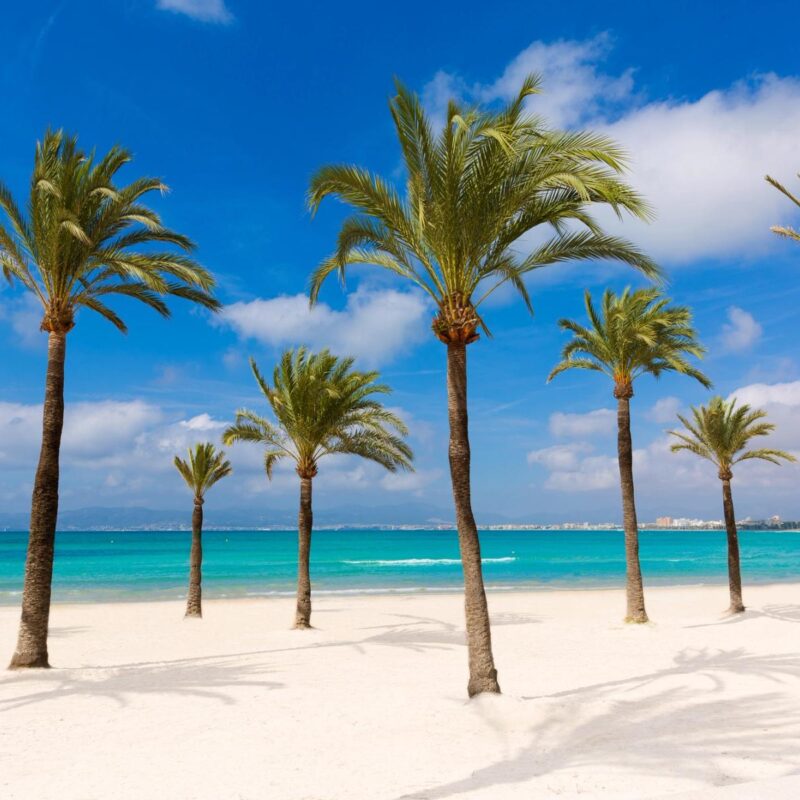 S'Arenal mallorca