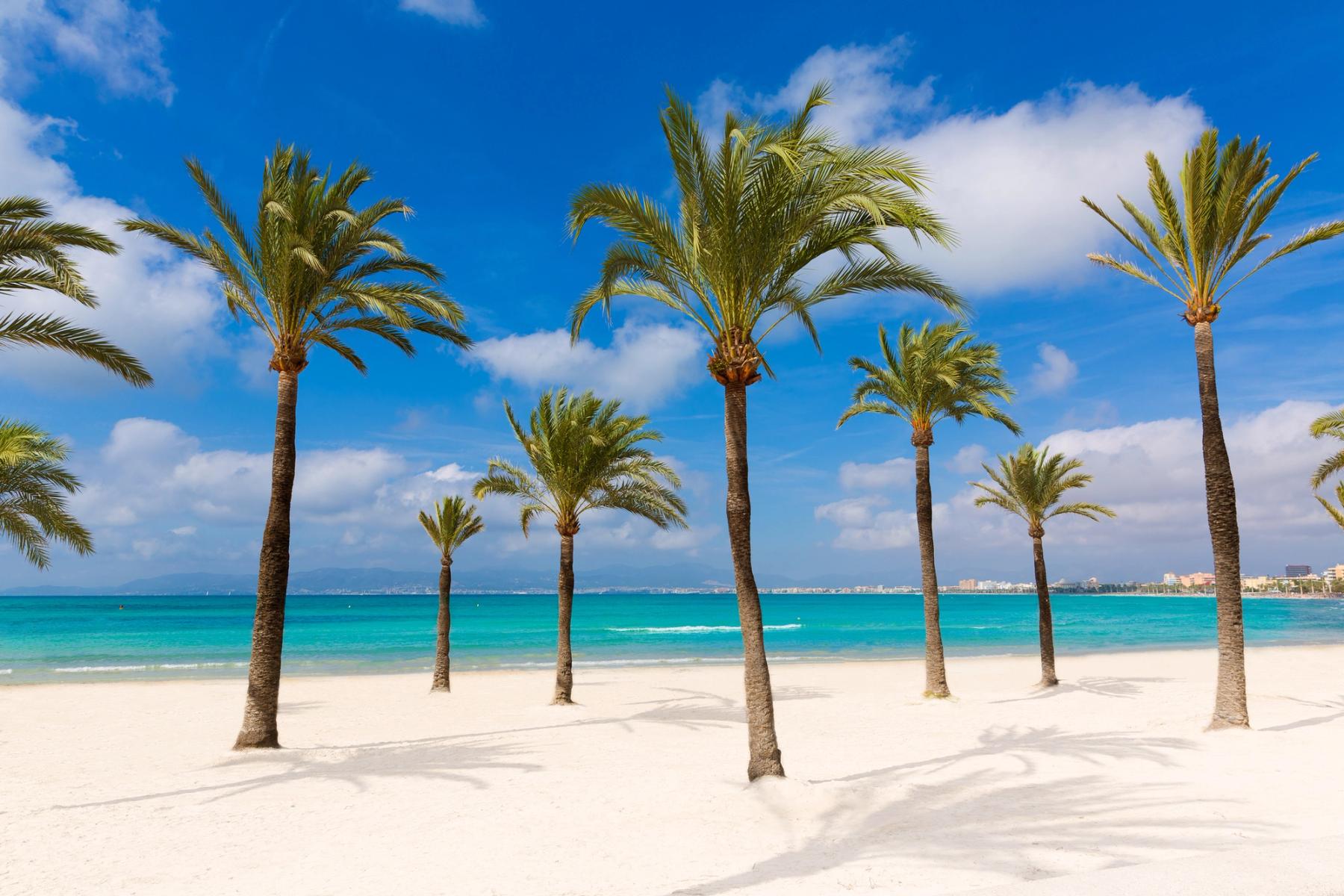 S’Arenal – Mallorca’s Coastal Playground