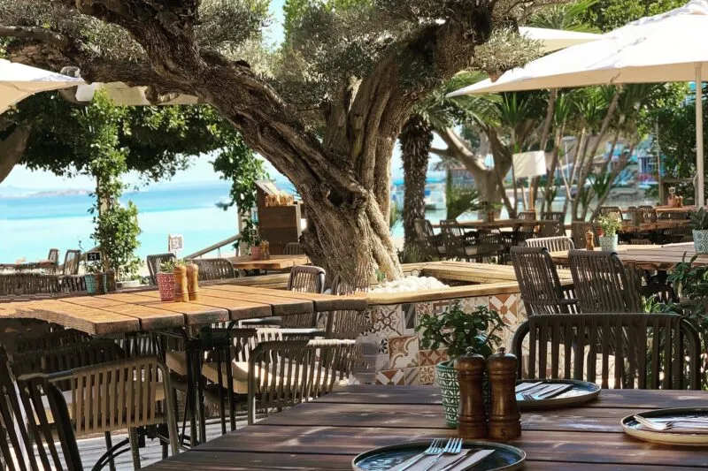 Best Landscaping & Garden Companies in Mallorca: Design, Maintenance and Irrigation (2026)