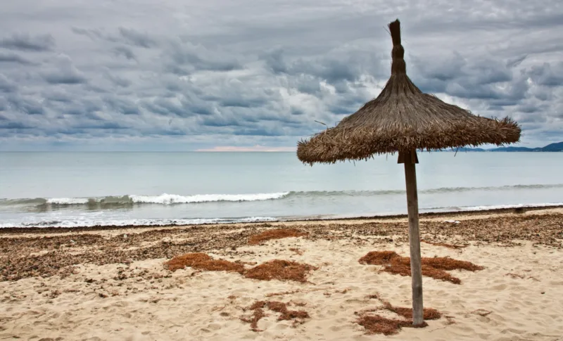 Living in Les Meravelles – Palma’s Breezy Coastal Community