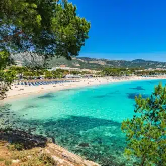Visit and explore Palma Nova in Mallorca