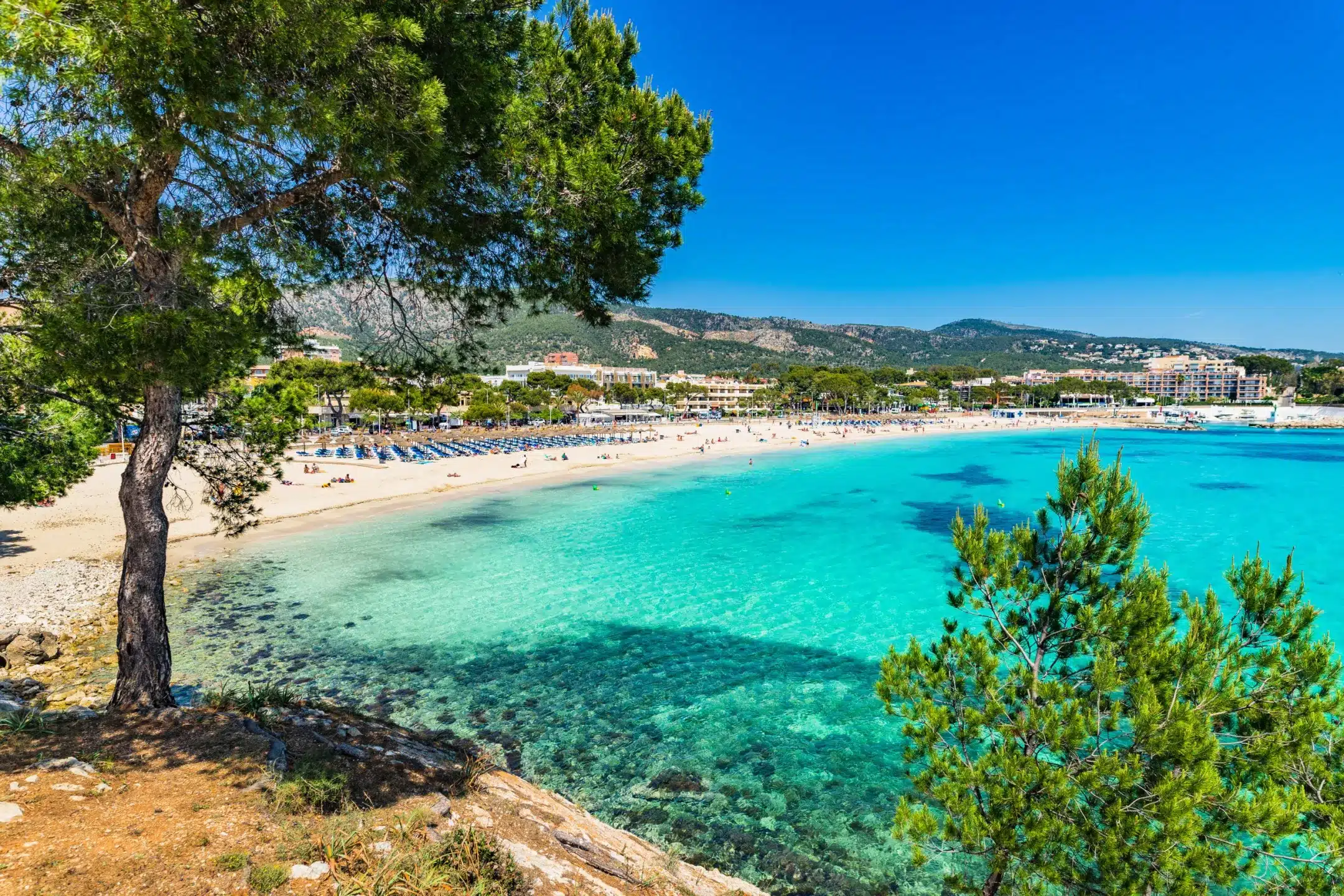 Palmanova, Mallorca – Family Resorts, Beaches & Easy Living
