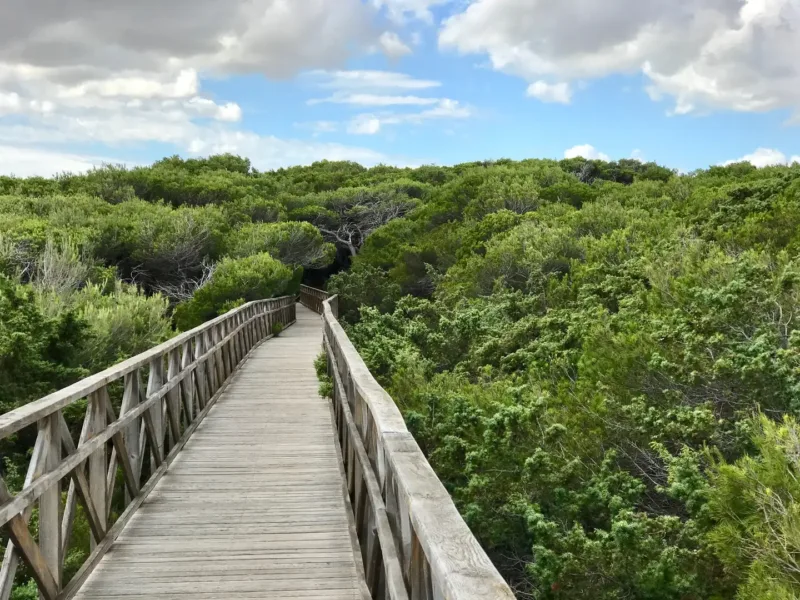 S’Albufera Natural Park – Mallorca’s Wetland Wonderland