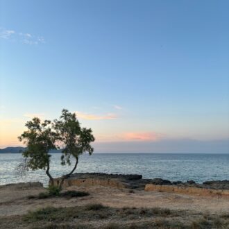 Can Picafort Mallorca