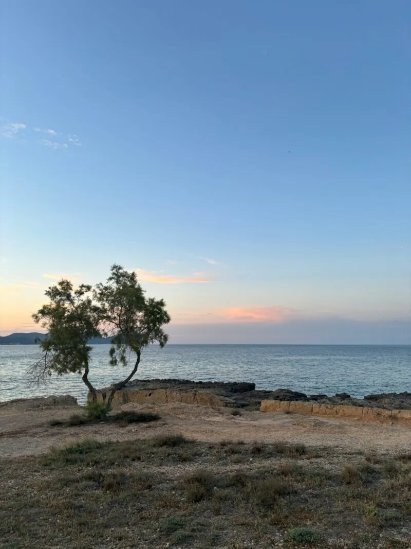 Can Picafort, Mallorca – Beaches, Things to Do & Local Guide