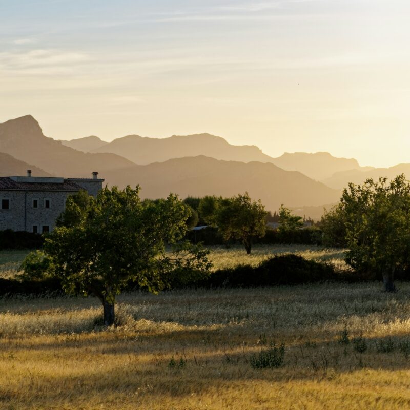 Fincas in Mallorca