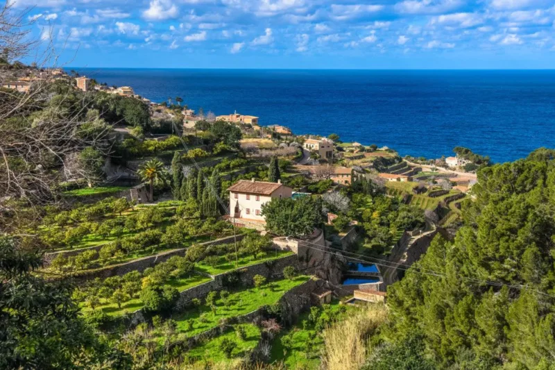 Banyalbufar, Mallorca – Terraced Vineyards, Cliff Views & Coastal Walks