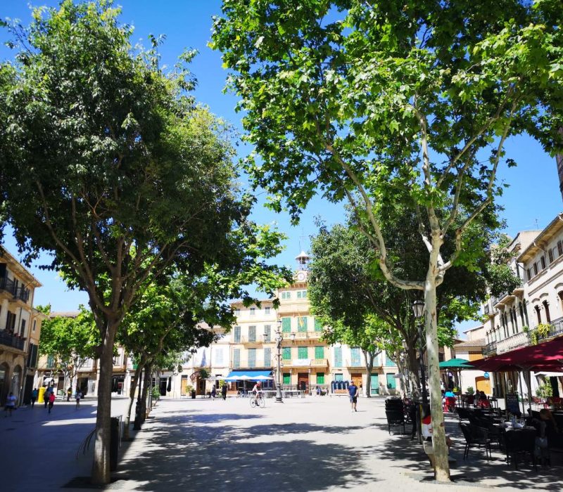 Explore Llucmajor, Mallorca’s largest municipality.