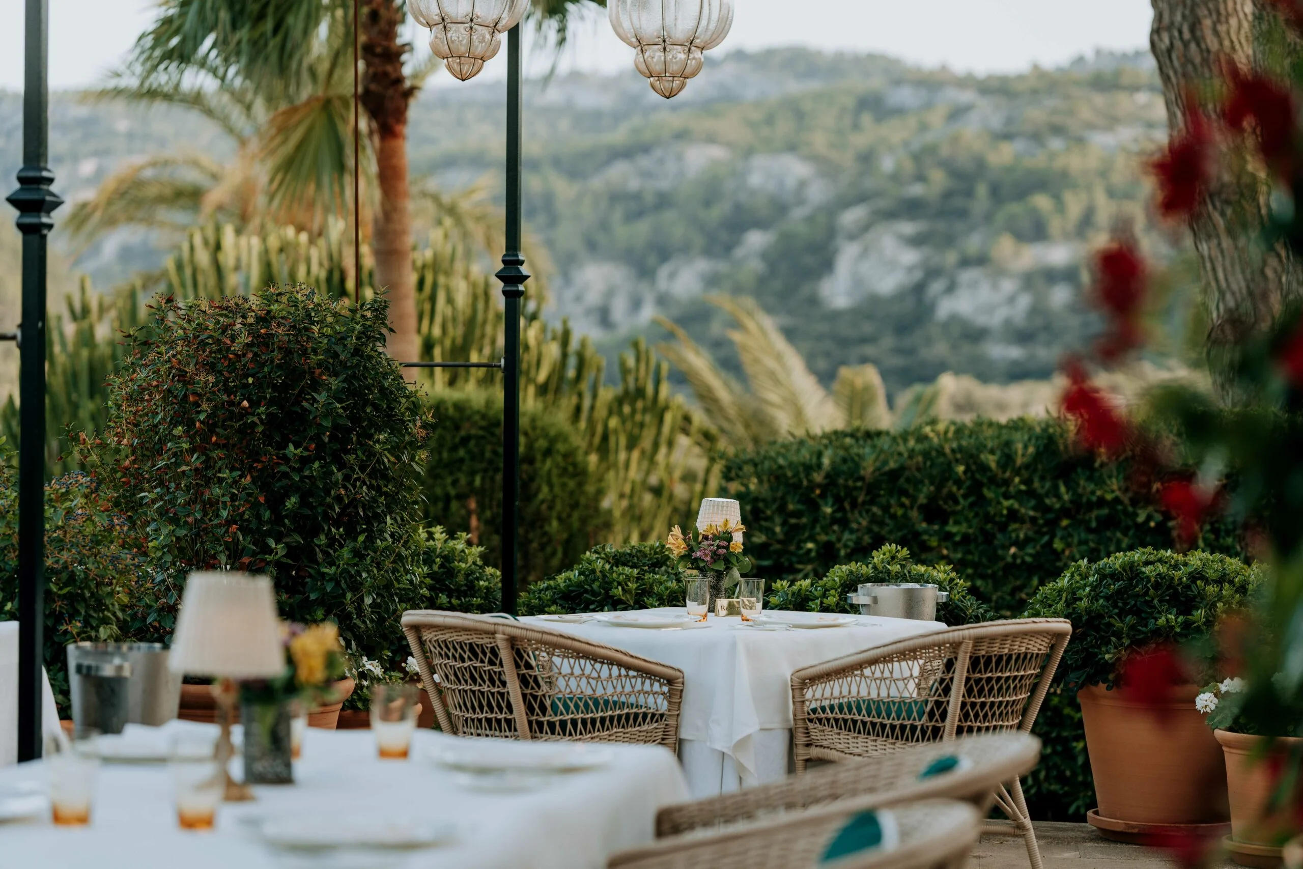 Wine & Gastronomy at son net