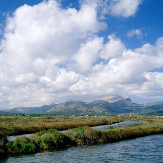 S’Albufereta Natural Reserve
