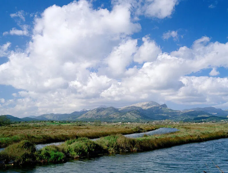 S’Albufereta Natural Reserve – Mallorca’s Compact Wetland Paradise