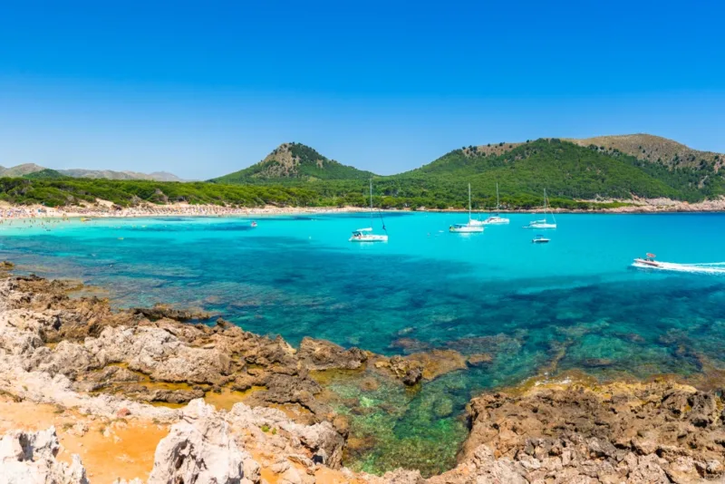 Beach Guide: Cala Agulla – Pine Forests & Turquoise Waters