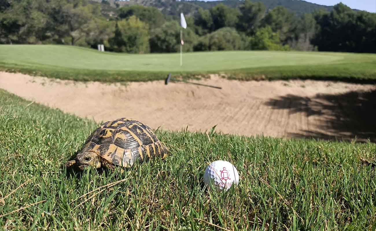 Play Canyamel Golf. A quiet, natural course with sea views