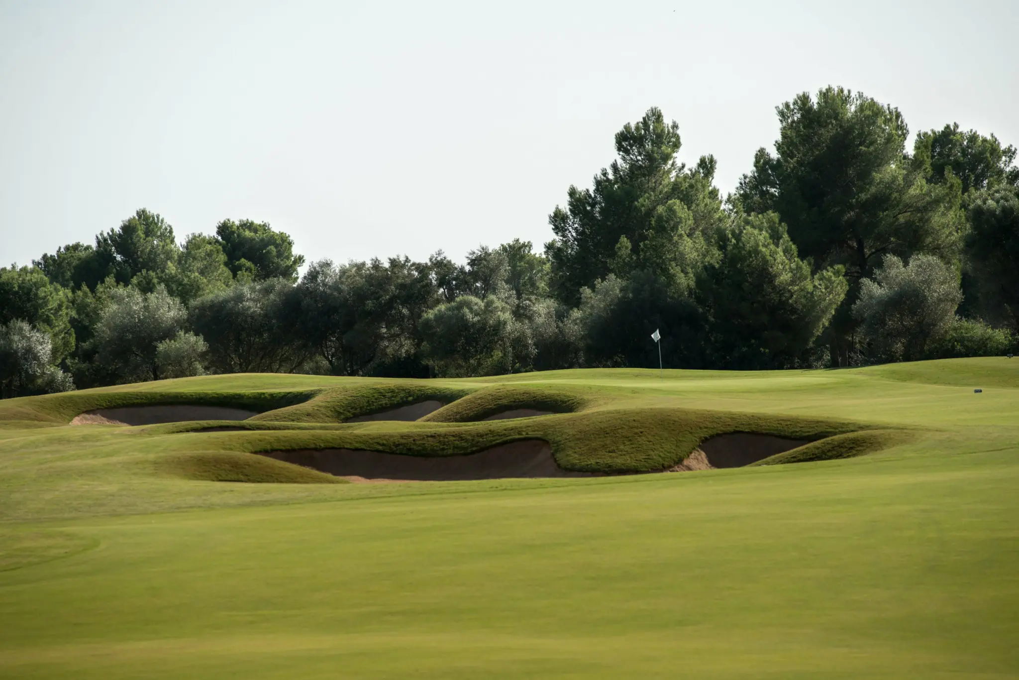 T Golf Palma – A Classic Course, Renovated for Modern Play