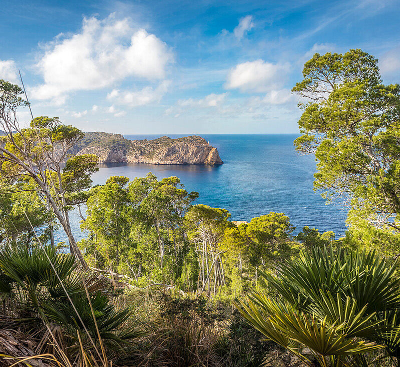 Sa Dragonera island off the coast of Mallorca with cliffs and blue sea.