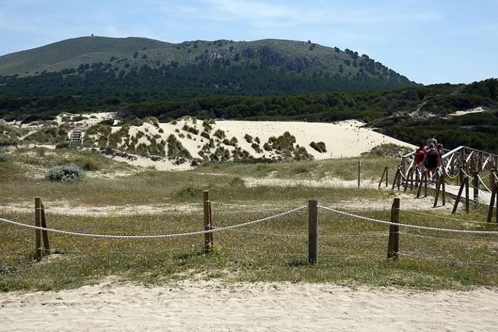 Cala Mesquida sand dunes 