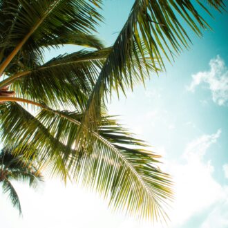 Ciudad Jardín beach promenade with palm trees and wide sandy shore.