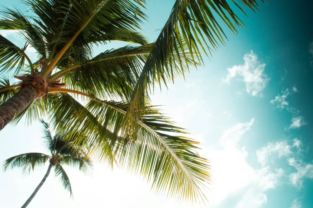 Beach Guide: Ciudad Jardín – Palma’s Local Seafront