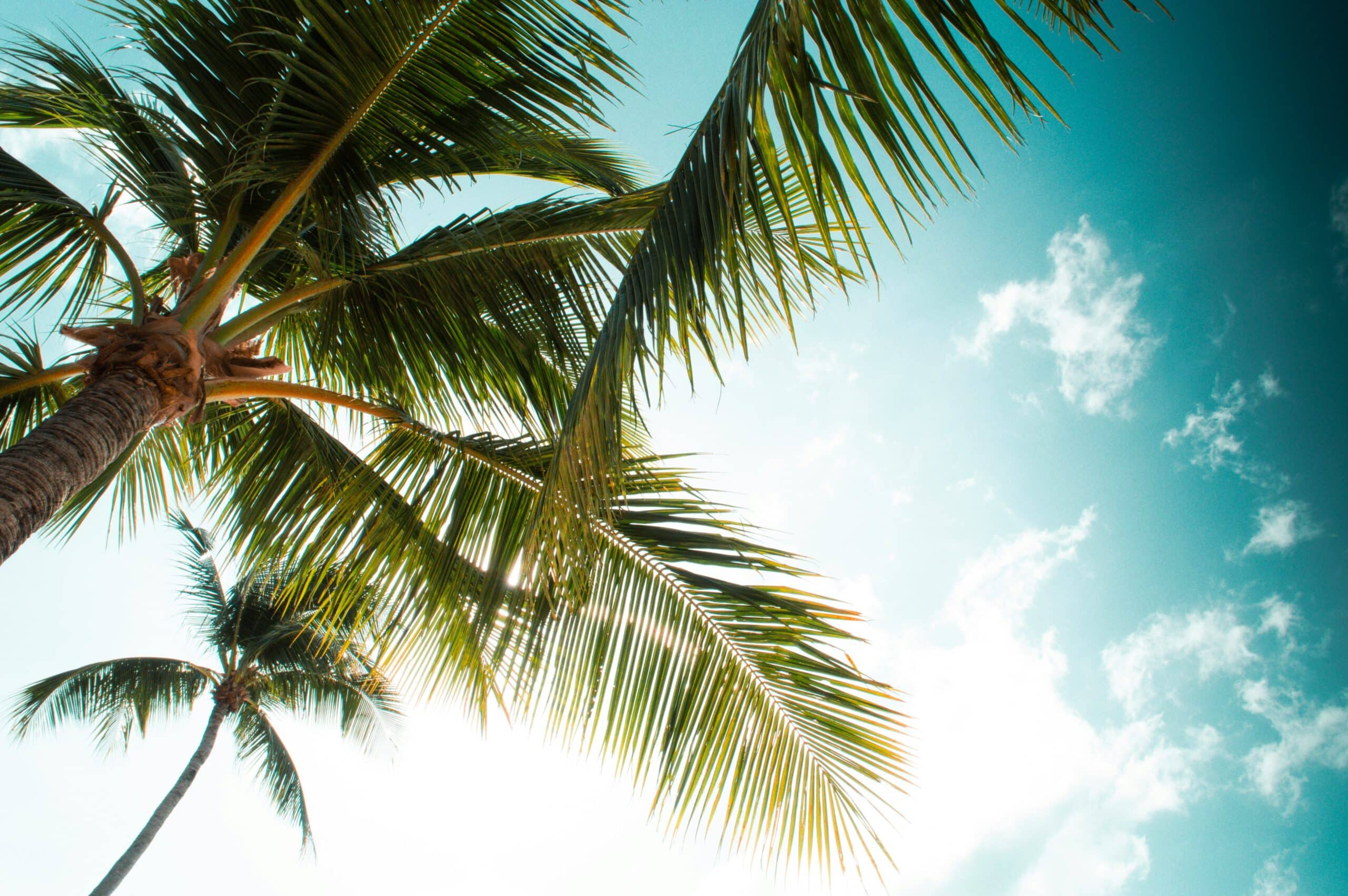 Ciudad Jardín Beach Guide – Palma’s Local Seafront