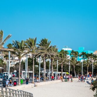 Ciudad Jardín beach promenade with palm trees and wide sandy shore.