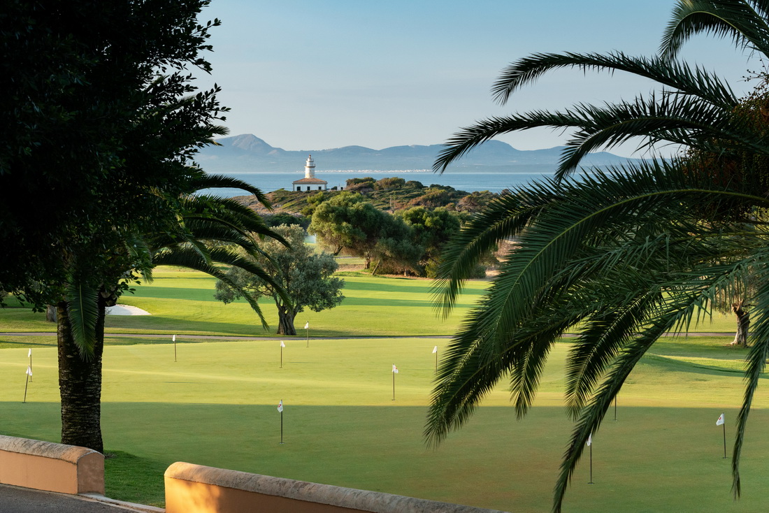 Club de Golf Alcanada with palm trees