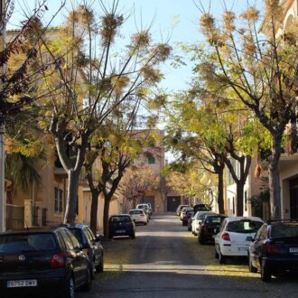 Consell village in Mallorca