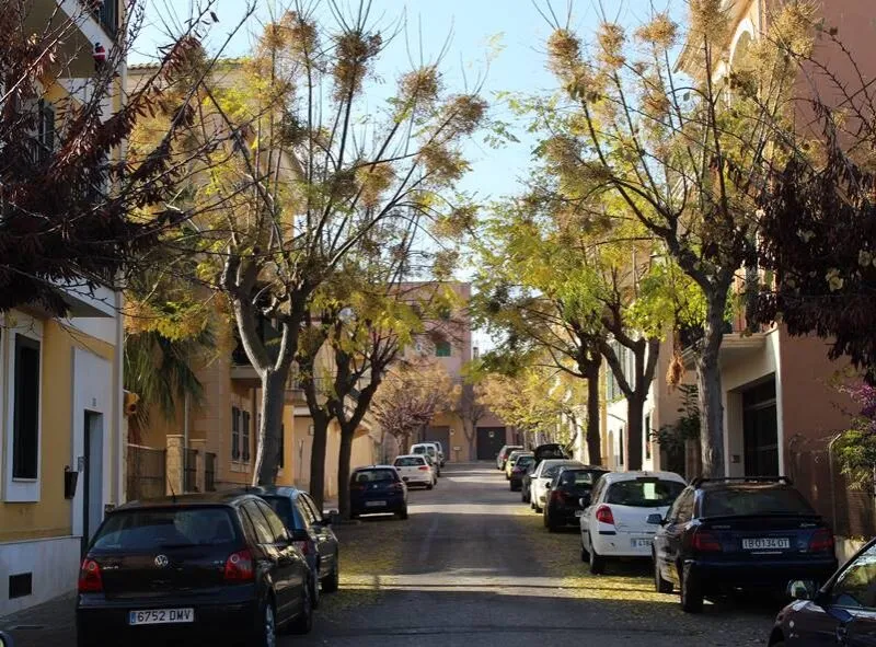 Consell, Mallorca – Wine, Antiques & Village Charm