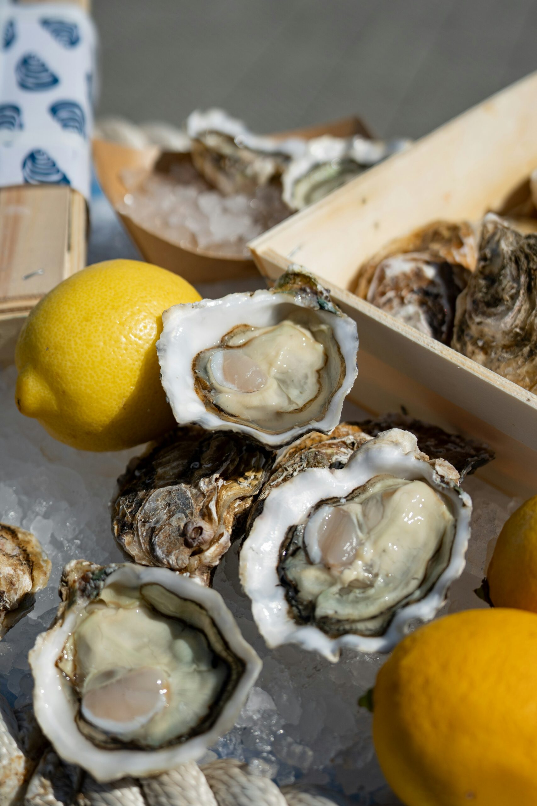 Oysters & Champagne stands 