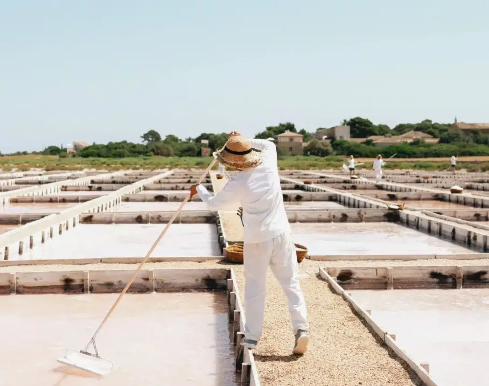 Ses Salines, Mallorca – Salt, Tradition & Great Dining