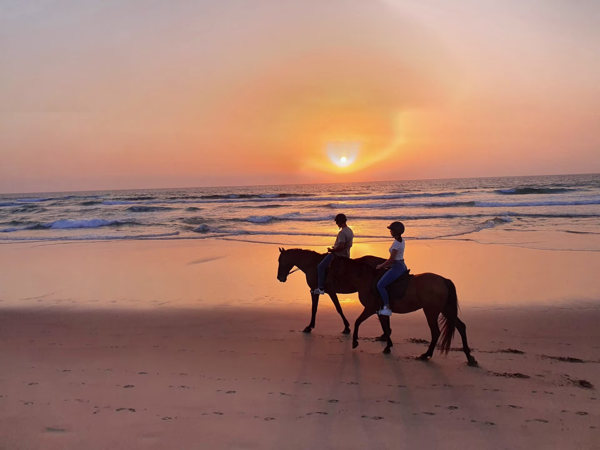 Horse Riding in sunset in Mallorca