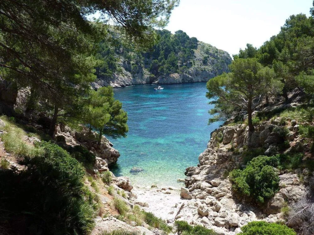 Beach Guide: Cala Gossalba (Formentor’s Remote Wild Cove)