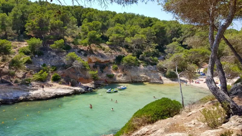 Beach Guide: Cala Falcó – Pine-Backed Pocket Cove in Calvià