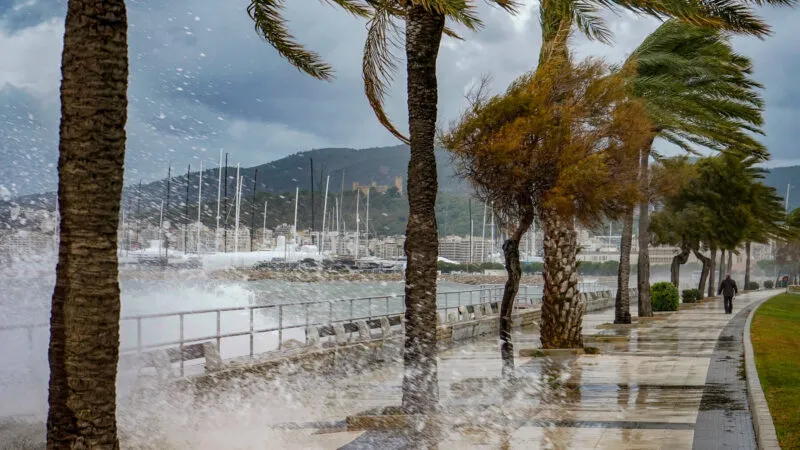 Rainy-Day Palma: Cozy Museums, Markets, Cafés & Indoor Fun