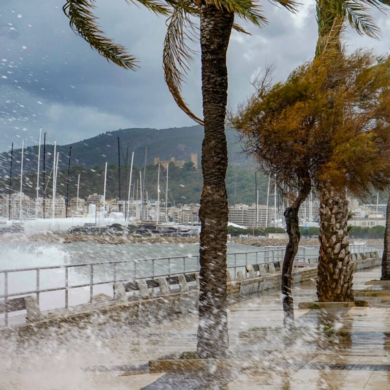 Rain in Palma de Mallorca
