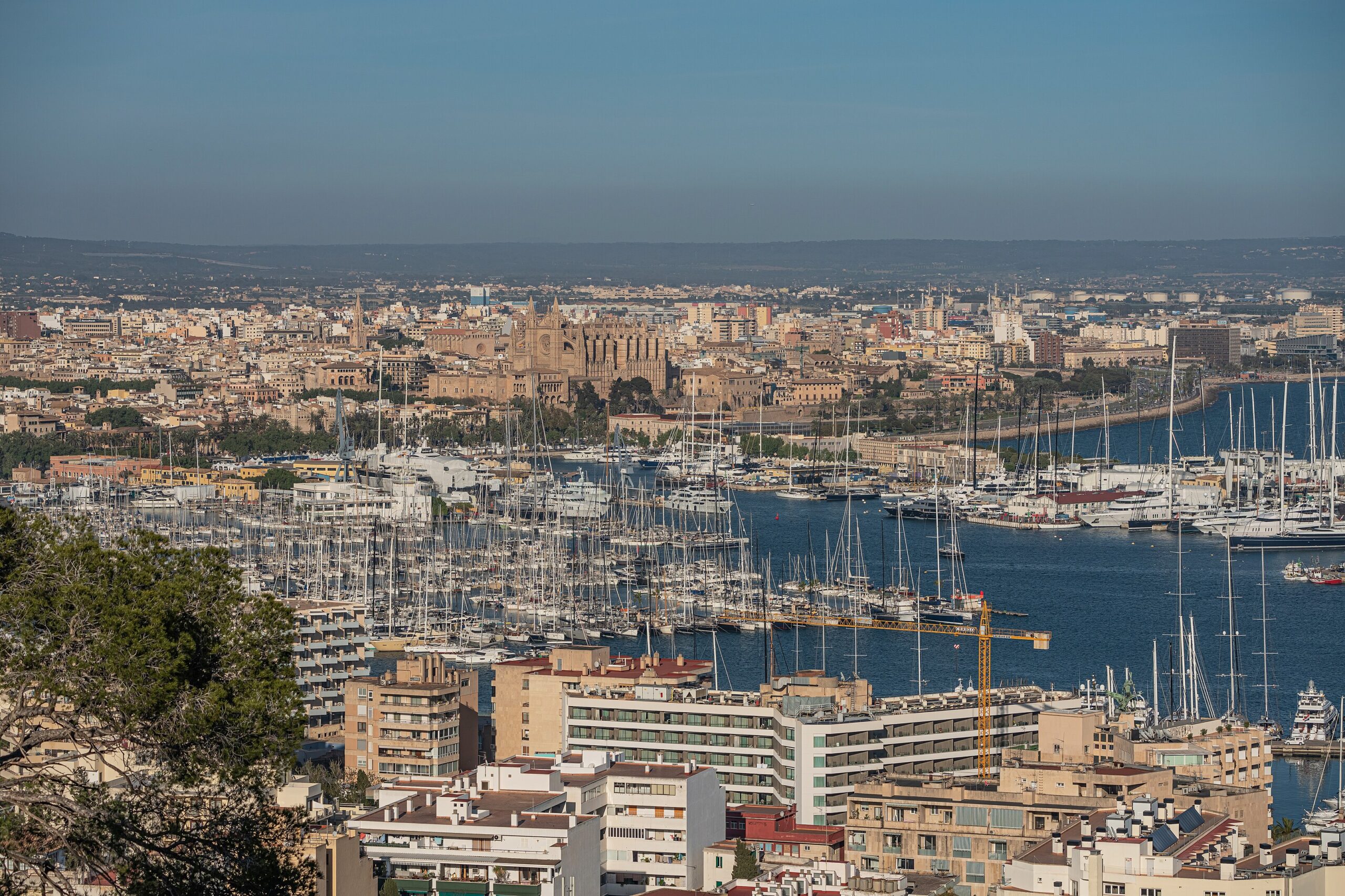 The Bay of Palma: A Local Guide to Mallorca’s Coastline