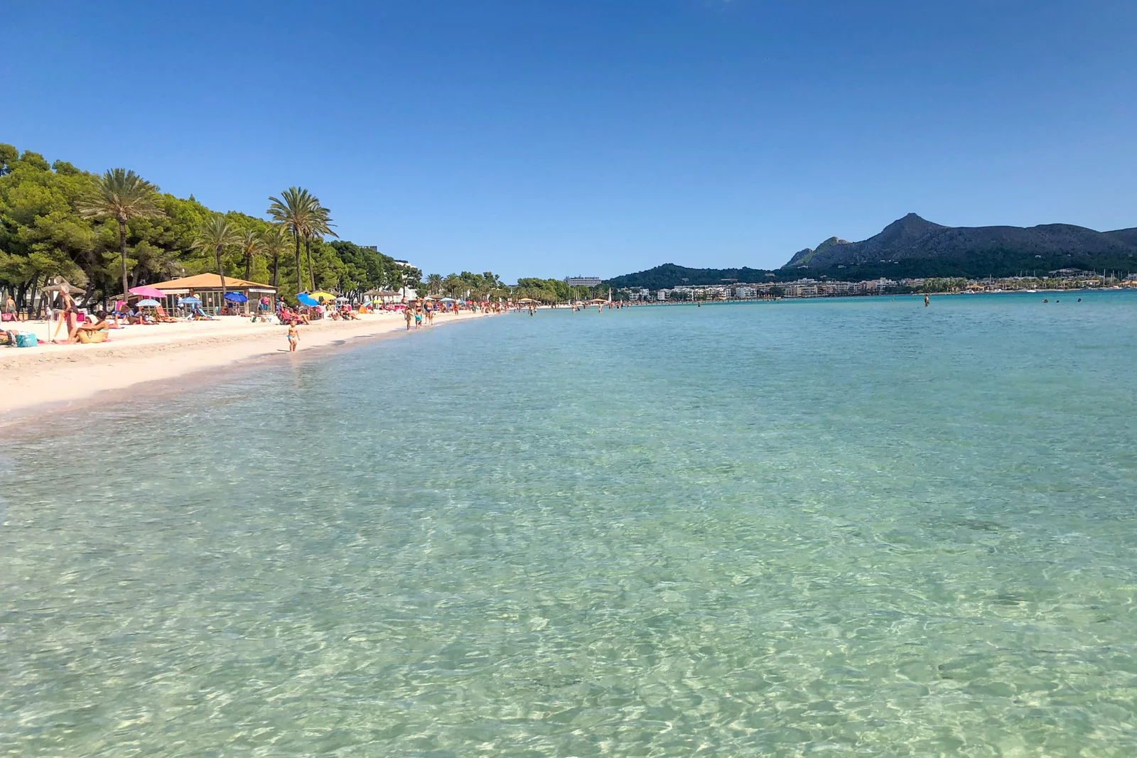 Platja d’Alcúdia