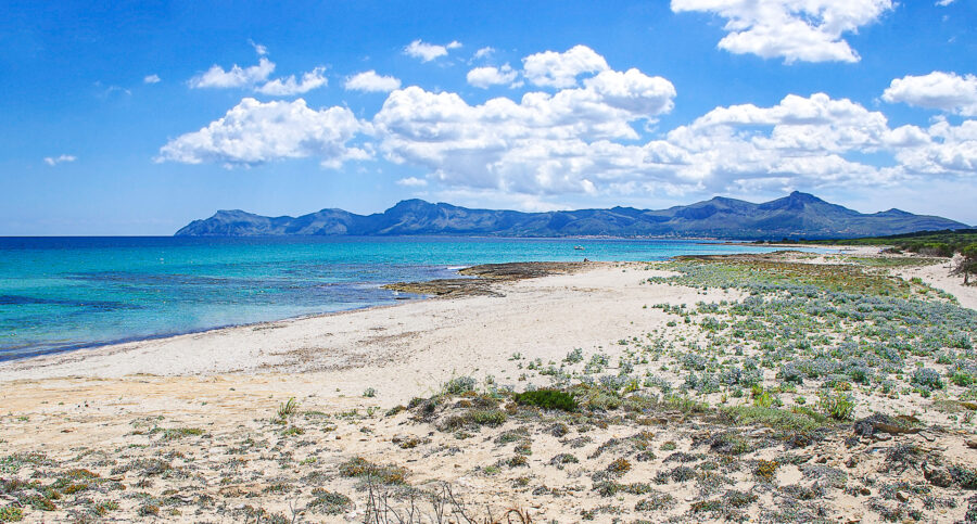 Son Serra de Marina: Mallorca’s Wild North Shore
