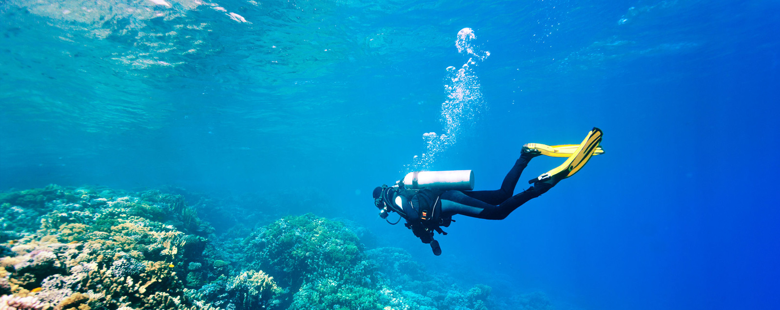 Scuba Diving in Mallorca From Palma