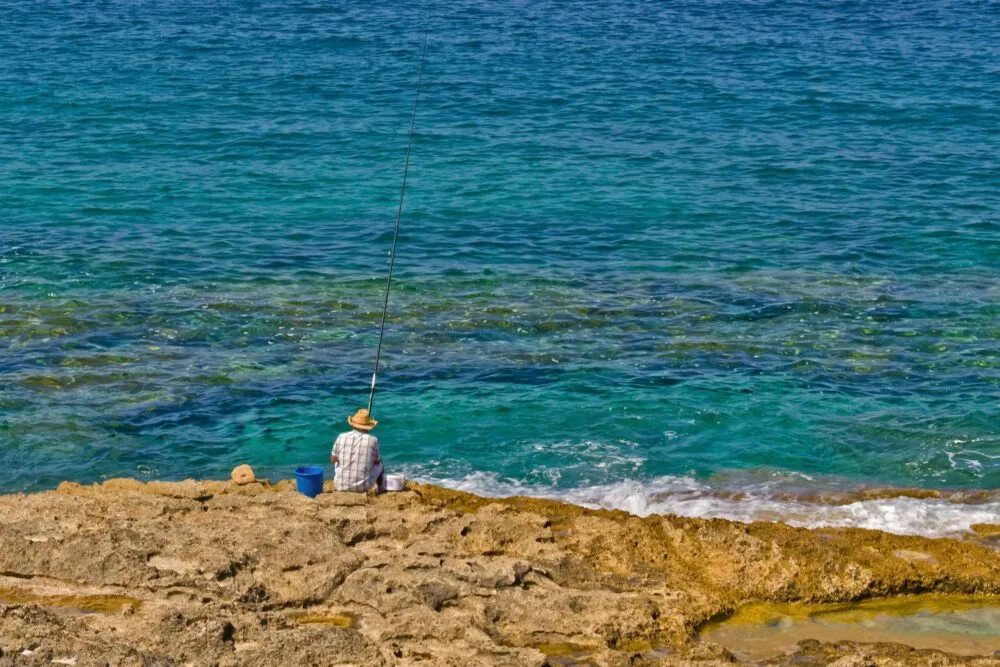 Family Fishing from Palma: Easy Half-Day Charters for All Ages