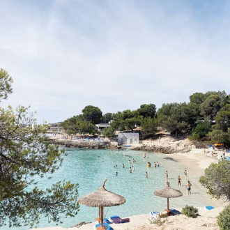Pine trees shading the turquoise cove of Cala Comtessa near Illetas, Mallorca.